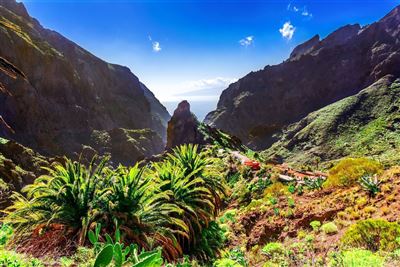 Schlucht von Masca im Teno Gebirge